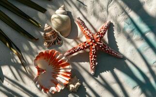 ai gerado dois conchas, uma mar estrela, e cartuchos com uma Palma árvore foto