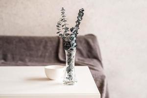 eucalipto em um vaso com uma xícara de café na mesa branca