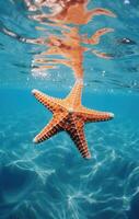 ai gerado estrelas do mar em a oceano dentro papel de parede, foto