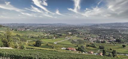 o cedro do líbano em la morra com as cores maravilhosas do outono no langhe piemontês foto