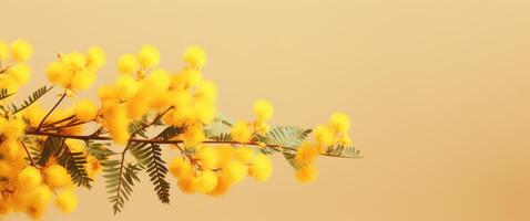 ai gerado amarelo flores com folhas contra uma brilhante amarelo fundo foto