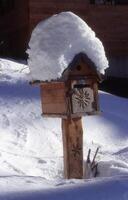 uma Casa de passarinho coberto dentro neve foto