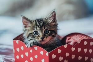 ai gerado peludo dia dos namorados gatos criando infundido de amor momentos foto