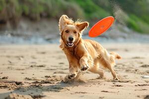 ai gerado areias do alegria feliz animais de estimação brincando em a de praia foto