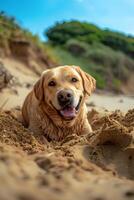 ai gerado sol, areia, e caudas feliz animais de estimação em a de praia foto