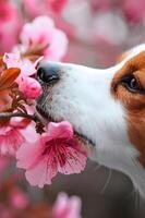 ai gerado pétala jogar lindo Primavera bandeira capturando a alegria do uma feliz cachorro foto