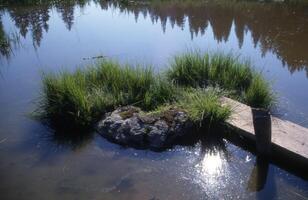 uma pequeno de madeira doca dentro a meio do uma lago foto