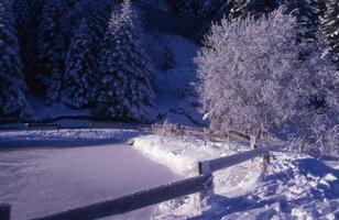 uma cerca com uma neve coberto caminho foto