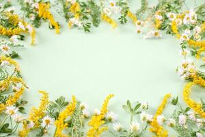 verde Relva com pequeno amarelo branco flores Como oval quadro, Armação em luz verde fundo foto