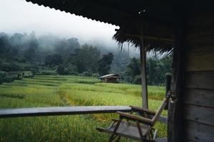 em uma cabana de madeira em um campo de arroz verde foto