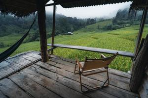 em uma cabana de madeira em um campo de arroz verde foto