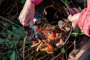 pessoa quem colocar dentro uma compostor alguns cozinha desperdício gostar vegetais, frutas, casca de ovo, café motivos dentro ordem para ordenar e faço bio fertilizante foto