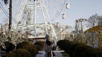 Primavera diversão parque . Ação. uma enorme lazer parque Onde uma muitos do pessoas andar e uma enorme branco ferris roda dentro a fundo. foto