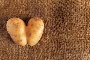 coração em forma batatas em rústico linho fundo. feio Comida. foto