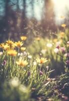 ai gerado manhã verão ou Primavera. lindo flores silvestres com orvalho gotas às alvorecer, luz borrão, seletivo foco. raso profundidade do campo. foto