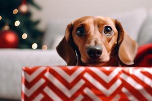 ai gerado fechar acima retrato fofa pequeno adorável pedigree miniatura dachshund cachorro Caçando cachorro cachorrinho positivo curioso expressão presente caixa presente alegre Natal natal feriados feliz Novo ano foto