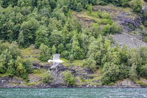 gaivotas voam pela bela paisagem do fiorde montanhoso na noruega. foto