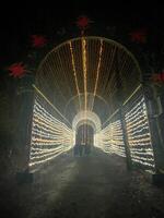 norte dentro Cheshire dentro a Reino Unido em 8 dezembro 2023. uma Visão do luzes dentro a madeiras às Blakemere Vila . foto