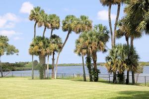 uma Visão do a florida vésperas foto