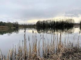 uma Visão do alderford lago dentro Shropshire dentro a inverno foto