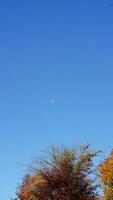 a azul céu Visão com a branco lua e a Claro azul céu Como fundo foto