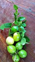 maduro limão fruta em ramo com verde folhas. limão fruta com verde folha. natural limão fruta levitar. fresco amarelo maduro limões. foto