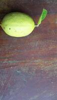 maduro limão fruta em ramo com verde folhas. limão fruta com verde folha. natural limão fruta levitar. fresco amarelo maduro limões. foto