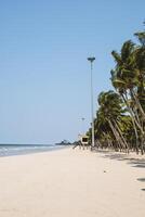 lindo de praia com branco areia, coco árvore e azul e Claro céu fundo foto