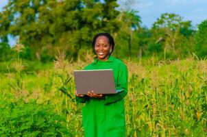 fechar acima do uma lindo africano senhora sentindo-me animado Como ela aguarde uma computador portátil dentro a Fazenda foto