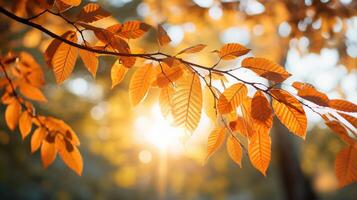 ai gerado outono panorama com laranja e amarelo folhas em ramo com manhã luz solar ,outono plano de fundo, generativo ai foto