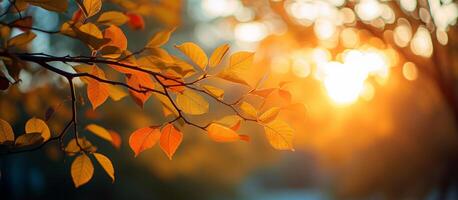 ai gerado outono panorama com laranja e amarelo folhas em ramo com manhã luz solar ,outono plano de fundo, generativo ai foto