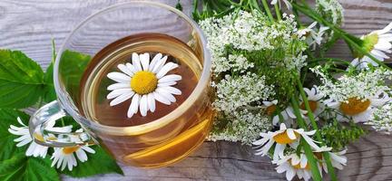 chá aromático de camomila em um copo de vidro com fundo de madeira. banner floral. natureza morta de verão com flores silvestres e bebida de ervas medicinais.