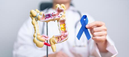 médico segurando azul fita com humano cólon anatomia modelo. marcha colorretal Câncer consciência mês, colônico doença, ampla intestino, ulcerativo colite, digestivo sistema e saúde conceito foto