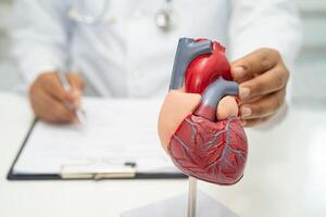 cardiovascular doença cvd, ásia médico segurando humano anatomia modelo para aprender e tratar coração doença. foto