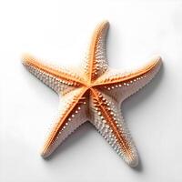 ai gerado estrelas do mar isolado branco fundo. ai generativo foto