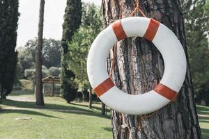 bóia salva-vidas em uma árvore na itália foto