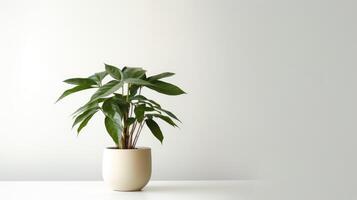 ai gerado pequeno casa plantar dentro uma vaso de flores. fechar acima do casa plantar isolado em branco fundo. foto