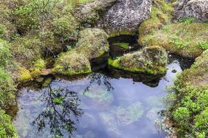 uma pequeno corrente fluxos através uma verde Prado dentro Islândia. foto