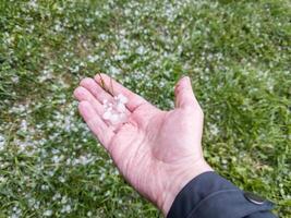 mão direita caucasiana segurando pequenos grãos de granizo no fundo de grama verde embaçada foto