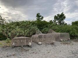 armadilha para caranguejo peixe lagosta lagostas gaiolas trançado a partir de bambu mentira em uma arenoso costa foto