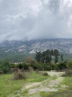 baixo fofo nuvens aguentar sobre a Alto montanhas, cobrir seus picos foto