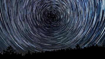 Estrela trilhas dentro a noite céu. estrelas mover por aí uma polar estrela. silhuetas do árvores foto