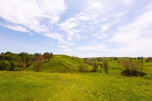 Primavera fotografia, prados, Campos, ravinas, colinas, rural panorama. uma profundo, limitar desfiladeiro com íngreme encostas. uma naturalmente elevado área do terra, não Como Alto ou escarpado Como uma montanha. foto