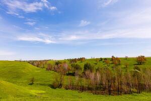 Primavera fotografia, prados, Campos, ravinas, colinas, rural panorama. uma profundo, limitar desfiladeiro com íngreme encostas. uma naturalmente elevado área do terra, não Como Alto ou escarpado Como uma montanha. foto