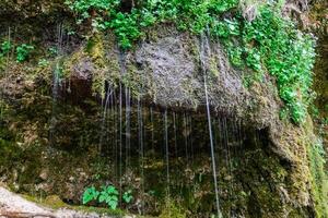 incrível Lugar, colocar com pendendo conglomerado e gotejamento água nomeado rinende Mauer dentro uma desfiladeiro foto