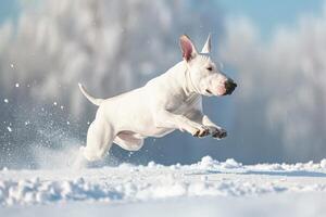 ai gerado Inglês touro terrier cachorro pulando dentro a neve foto