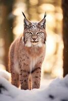 ai gerado europeu lince dentro uma Nevado floresta dentro a inverno. foto