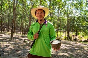 ásia feliz borracha agricultores ficar de pé segurando copos do látex dentro uma borracha árvore plantação. foto