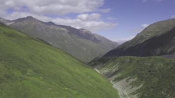 topo Visão do verde montanha declives em fundo do vale com rochoso picos. grampo. exuberante Relva crescendo em montanha declives contrastes com sem vida picos em fundo do azul céu foto