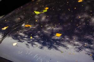 carro azul profundo no dia chuvoso do outono com folhas de bétula amarela - foco seletivo com borrão closeup foto